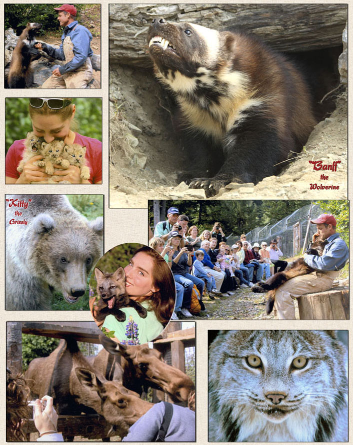 Welcome to the Kroschel Films Wildlife Center