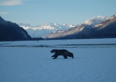 Banff December 2012