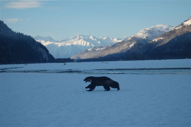Banff December 2012