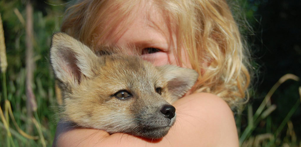 girl-fox-slide