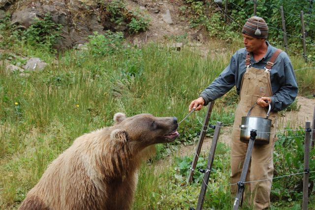 Kitty the Grizzly